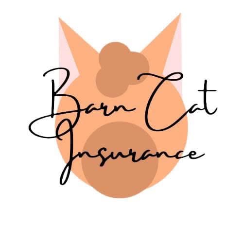 Barn Cat Insurance logo featuring an orange cat silhouette with black cursive text overlaying the image