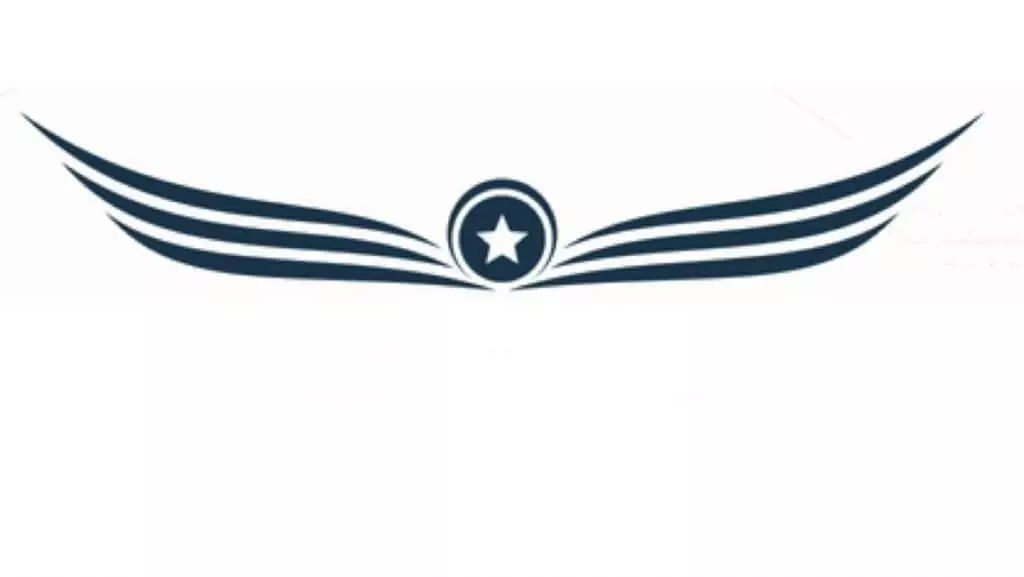 Stylized navy blue wings extending from a central circular medallion with a white star, forming a winged logo interpretation of flight.